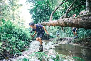 BIB: 
                            <button type="button" onclick="openModal(25432607)" class="btn btn-primary btn-sm float-right btn-popup" data-toggle="modal" data-target=".modal-high-quality">
                        <i class="fas fa-shopping-cart"></i> Add to Cart
                    </button>
                                            <button type="button" onclick="isThisMe(25432607, true)" class="btn btn-success btn-sm float-right btn-popup btn-isme hidden" data-toggle="tooltip" data-placement="bottom" title="นี่คือรูปของคุณใช่ไหม คลิกที่นี่เพื่อเอาเข้าอัลบั้ม">
                        <i class="fas fa-plus"></i> Add to album
                    </button>
                    <button type="button" onclick="isThisMe(25432607, false)" class="btn btn-warning btn-sm float-right btn-popup btn-isnotme hidden">
                        <i class="fas fa-ban"></i> Remove from album
                    </button>